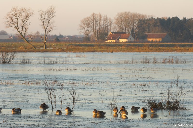 Natuurreservaat de Bourgoyen