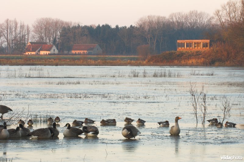 Natuurreservaat de Bourgoyen