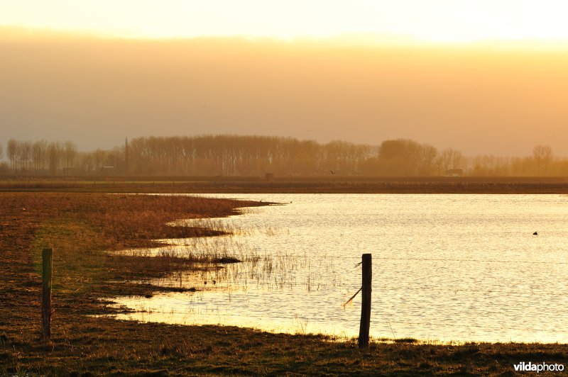 Zoetwaterkreek en Putten West