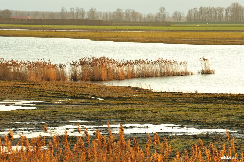 Zoetwaterkreek en Putten West