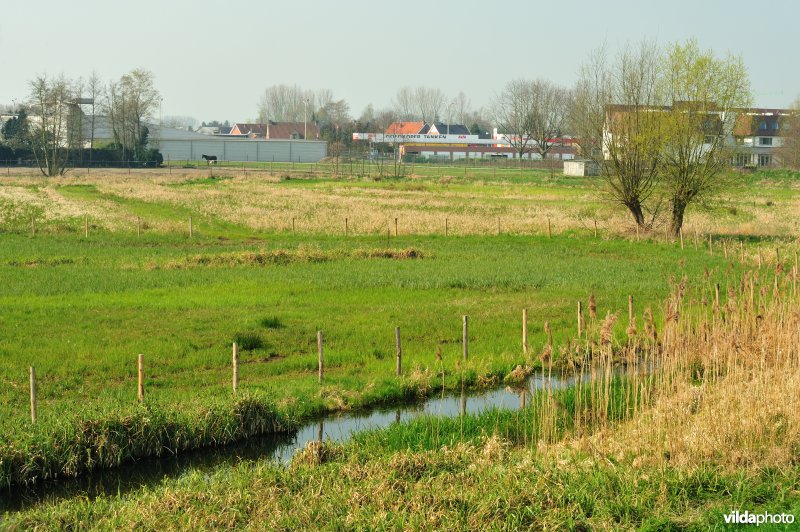 Hagenmeersen in de Durmevallei