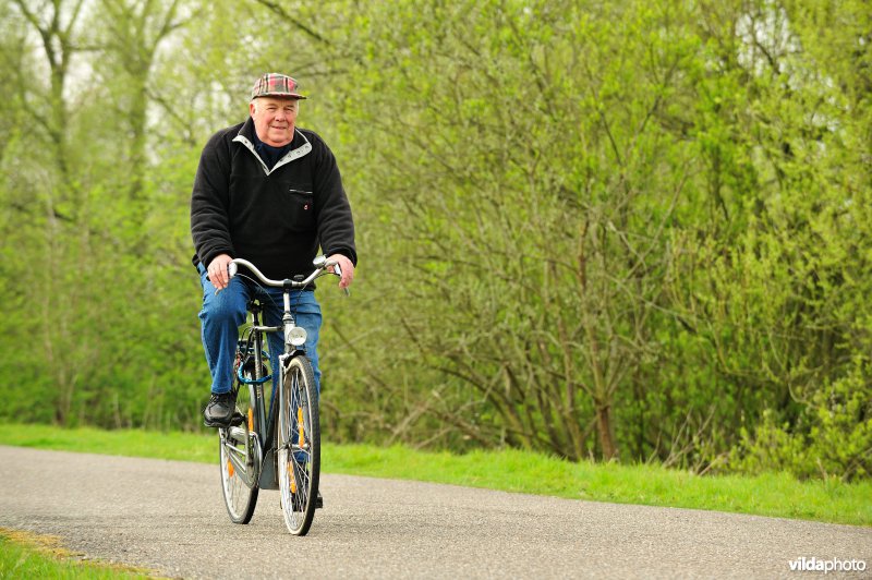 Fietsen op de Scheldedijk