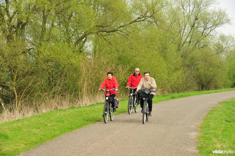 Fietsen op de Scheldedijk