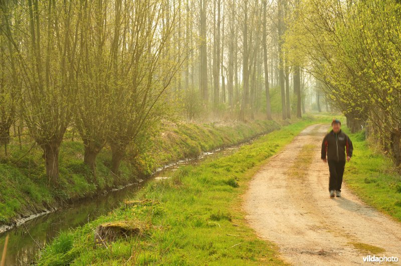 Natuurreservaat Vlassenbroekse Polder