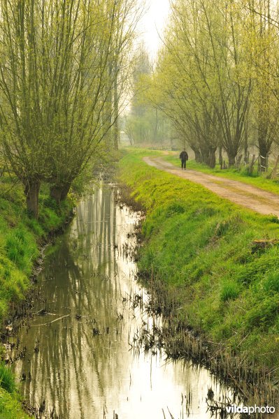 Natuurreservaat Vlassenbroekse Polder