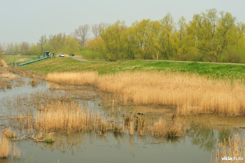 Gecontroleerd gereduceerd getij Lippensbroek