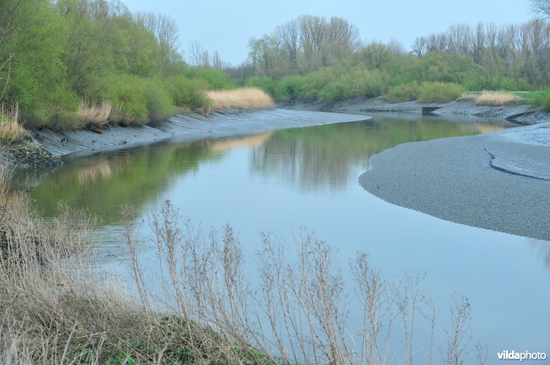 Zoetwaterschor van de Durme