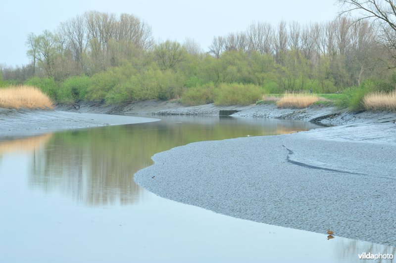 Zoetwaterschor van de Durme