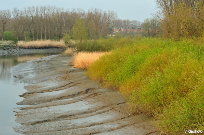 Zoetwaterschor van de Durme