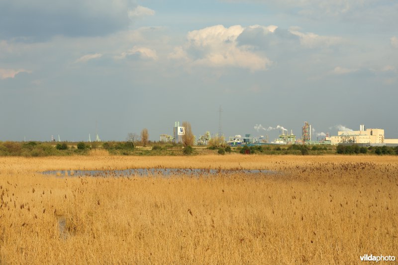 Groot Rietveld van Kallo