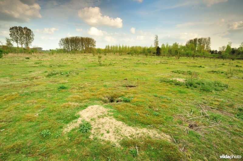 Landduinen in de Wijmeersen deel 1