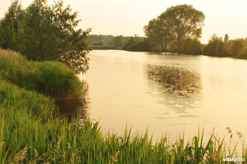 Natuurreservaat Oude Durme