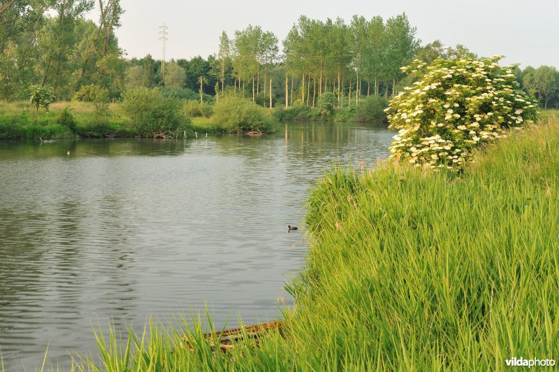 Natuurreservaat Oude Durme