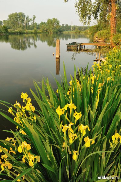 Natuurreservaat Oude Durme