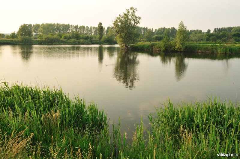 Natuurreservaat Oude Durme