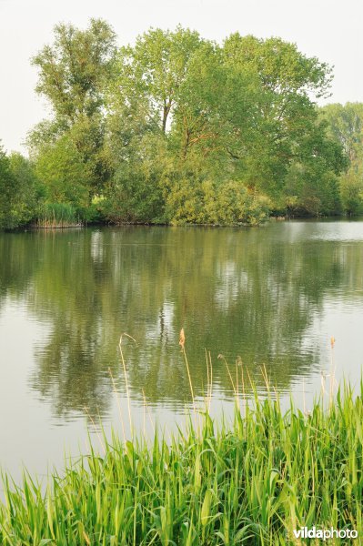 Natuurreservaat Oude Durme