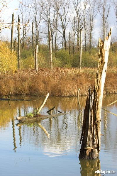 Provinciaal domein Broek De Naeyer