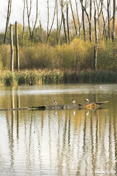 Provinciaal domein Broek De Naeyer