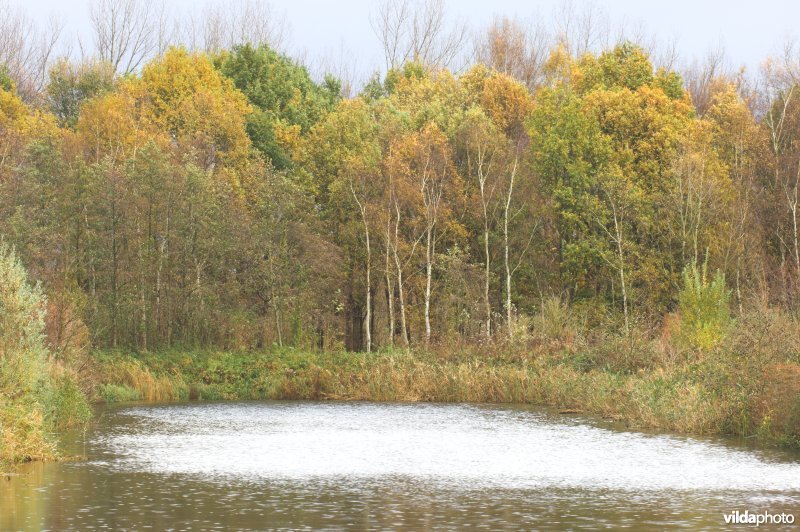 Provinciaal domein Broek De Naeyer