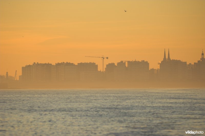 Zicht op Oostende