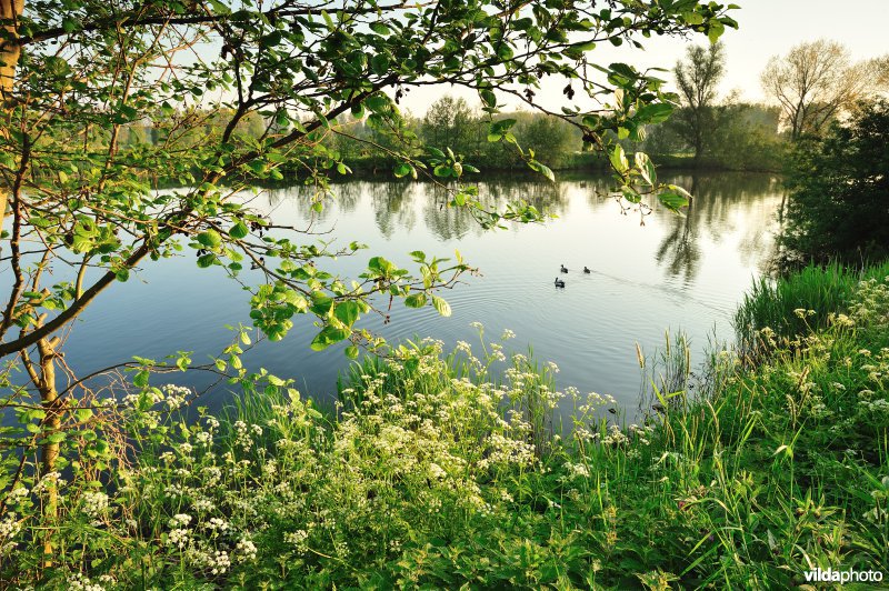 Natuurreservaat Oude Durme