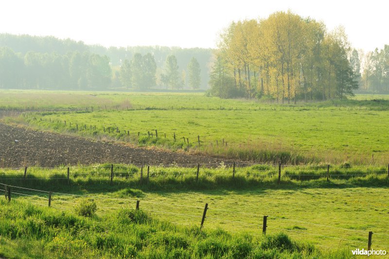 Natuurgebied Weijmeerbroek