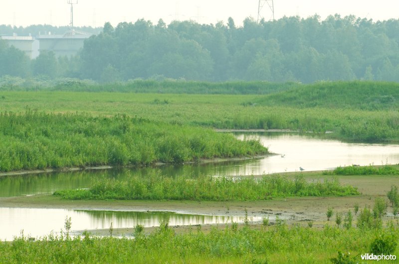 Vlakte van Zwijndrecht