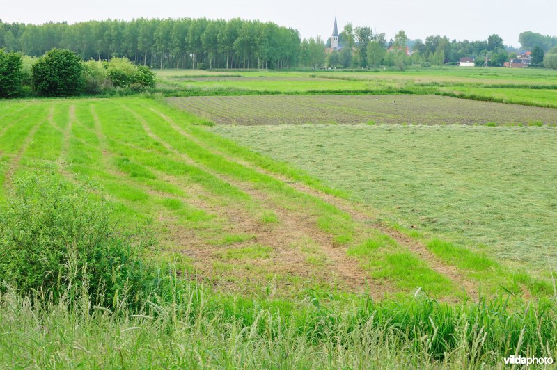 Groot-Broek