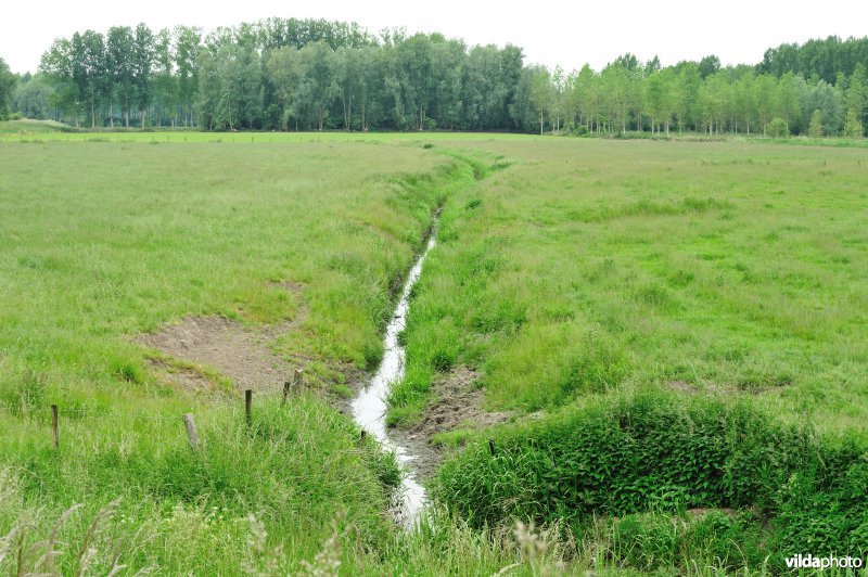 Klein Broek in Temse