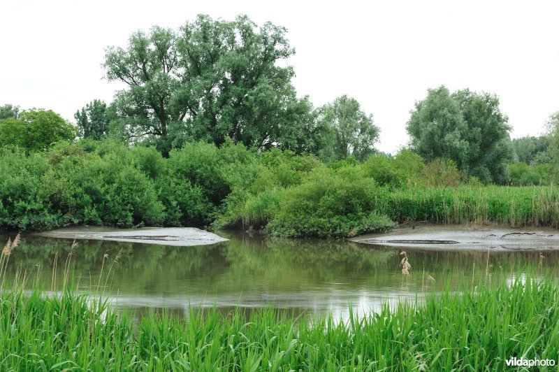 De Durme in Appelsvoorde