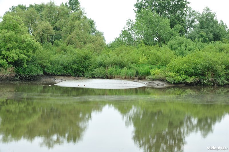 De Durme in Appelsvoorde