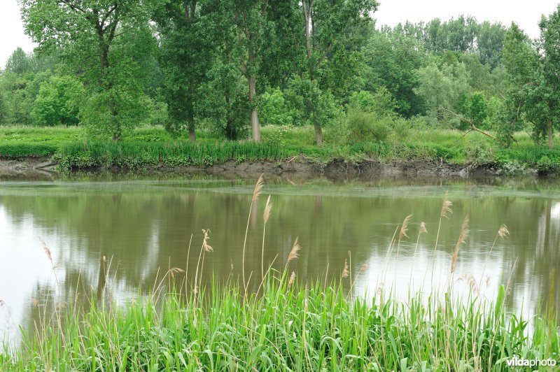 De Durme in Appelsvoorde