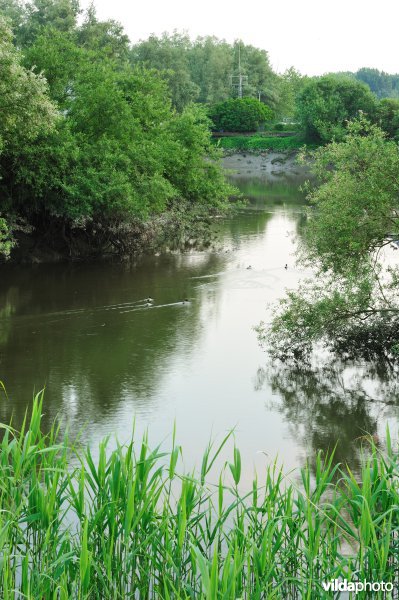 De Durme in Hamme