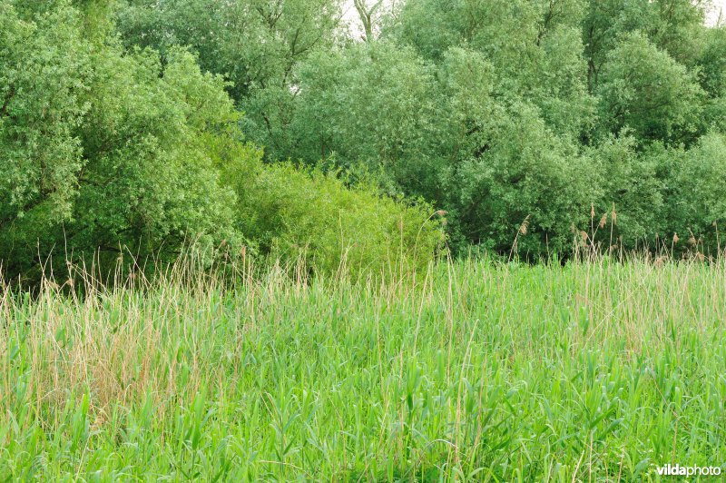 De Durme in Hamme