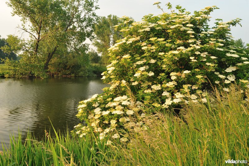 Oude Durme