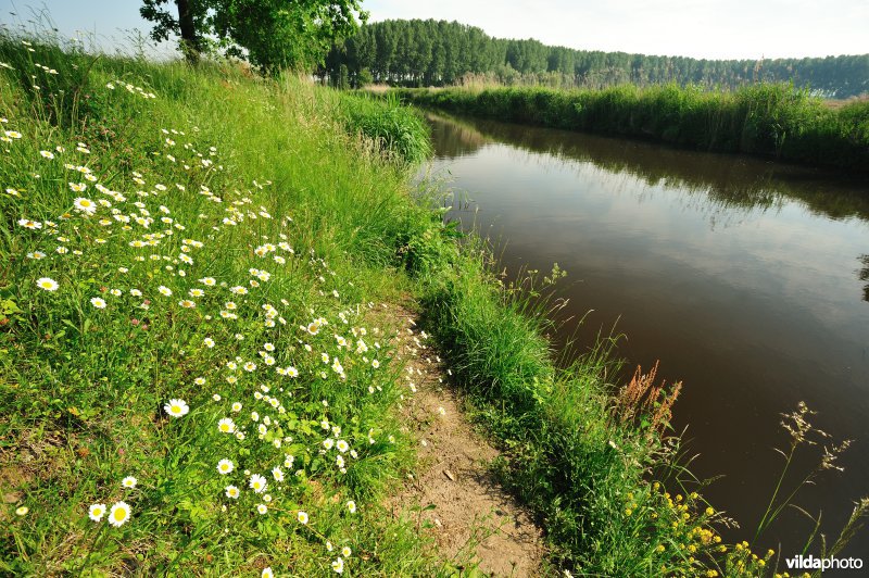 Kalkenvaart