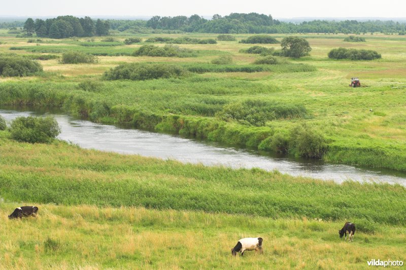 Vallei van de Biebrza