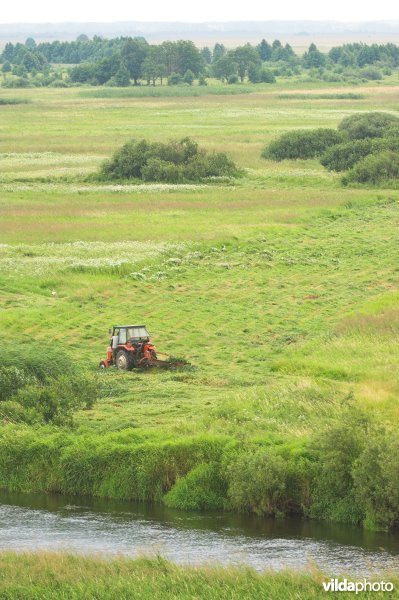 Vallei van de Biebrza