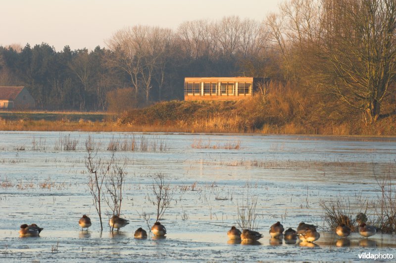 Vogelkijkhut in de Bourgoyen