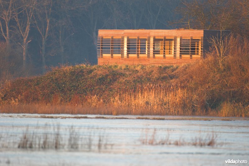 Vogelkijkhut in de Bourgoyen