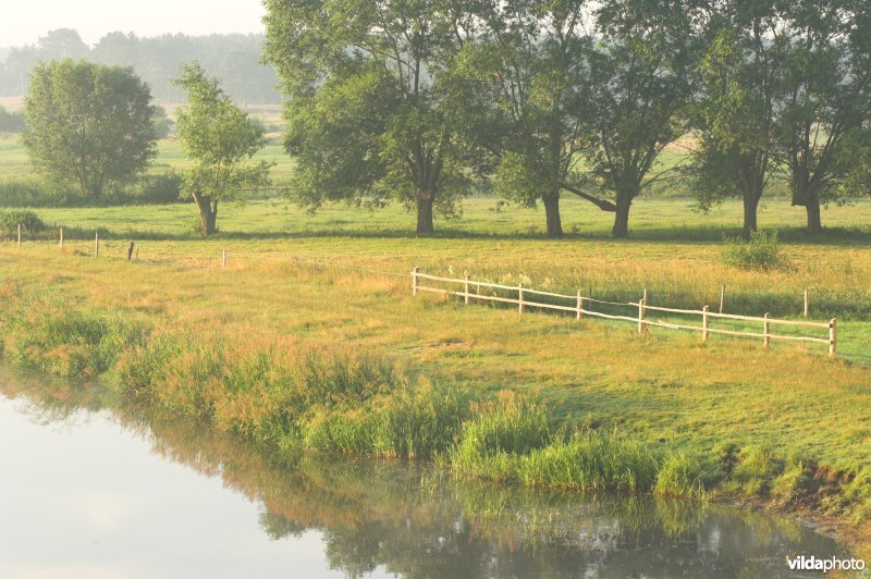 De Narew rivier