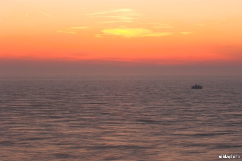 De Noordzee