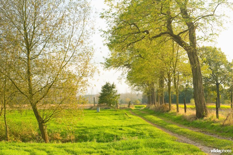Zavelbeemden te Testelt