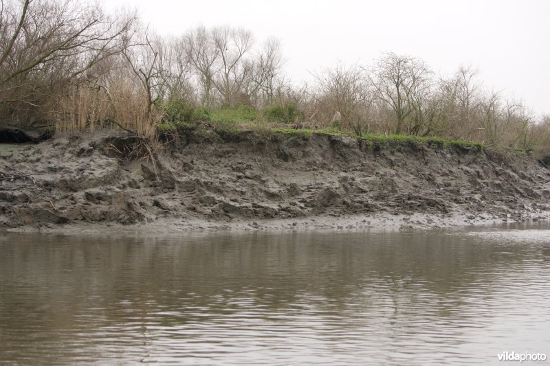 Erosie op Scheldeoevers