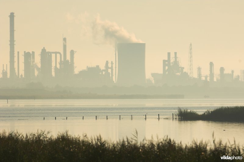 Industrie aan het Paulinaschor