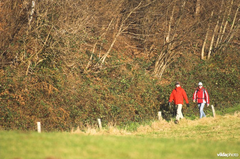 Wandelaars in het Heuvelland