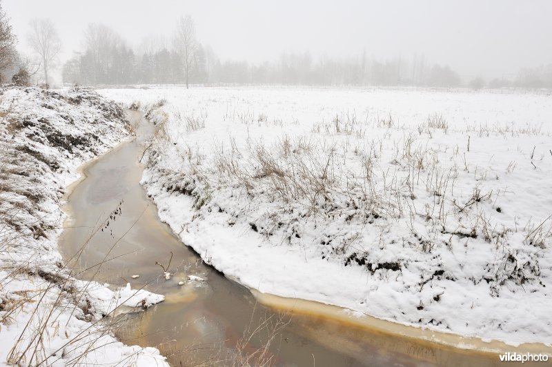 Leigracht in de Demerbroeken