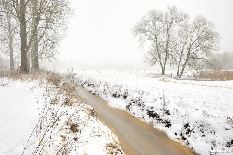 Leigracht in de Demerbroeken