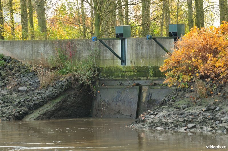 Overstort op de Schelde