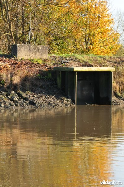 Overstort op de Schelde